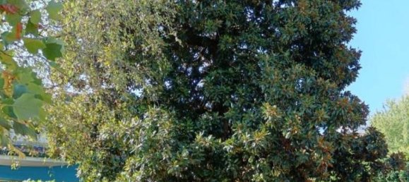 11 rooms Villa in Pordenone, Italy No. 28220 7