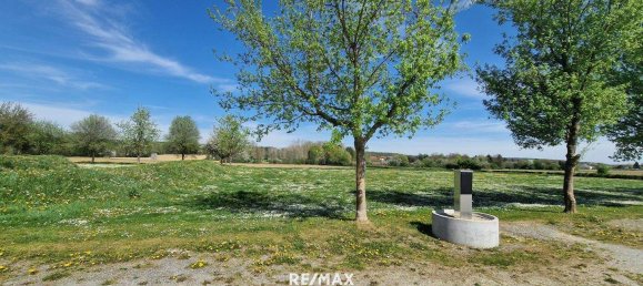  قطعة أرض في Grosssteinbach, Austria رقم 81120 7