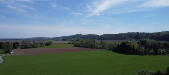  قطعة أرض في Grosssteinbach, Austria رقم 81120 2