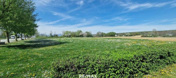  قطعة أرض في Grosssteinbach, Austria رقم 81120 4