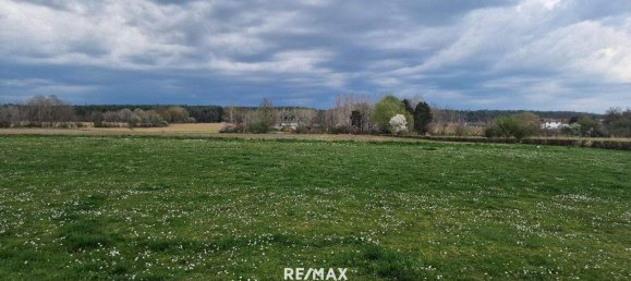  قطعة أرض في Grosssteinbach, Austria رقم 81120 5