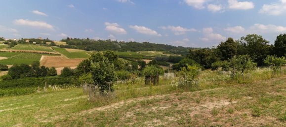 10 rooms House in Costigliole d'Asti, Italy No. 17979 30