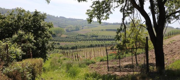 10 rooms House in Costigliole d'Asti, Italy No. 17979 16