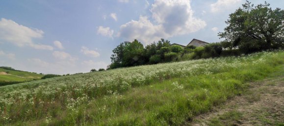 10 rooms House in Costigliole d'Asti, Italy No. 17979 32