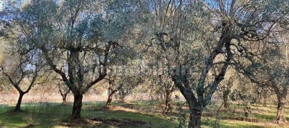 2 غرف نوم منزل في Gavorrano, Italy رقم 73454 10