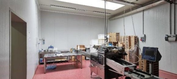 Lagerhaus in Galliera Veneta, Italy 209m², Nr. 132212 3