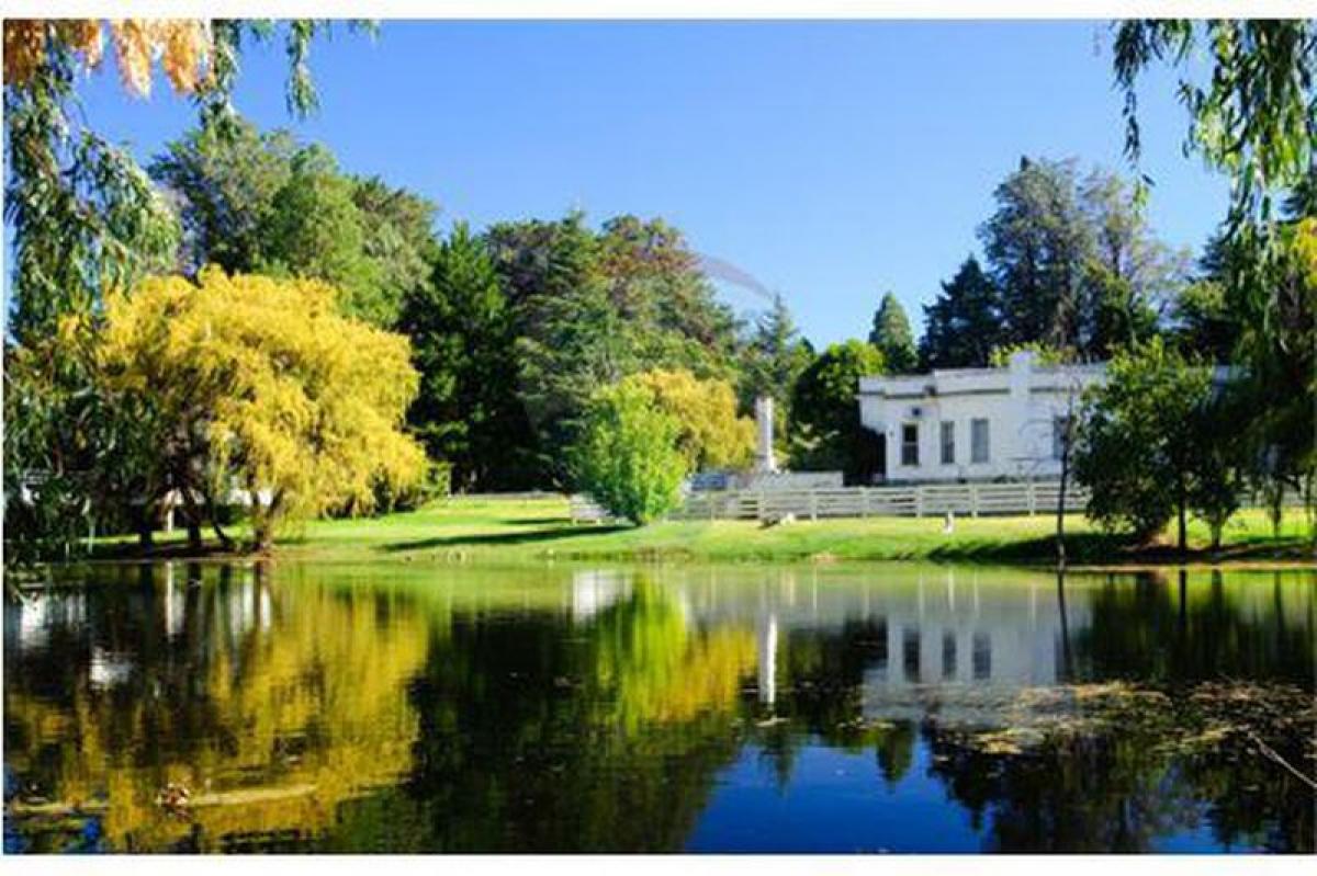  Land in Neuquen, Argentina No. 33202