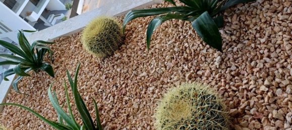 1 bedroom Apartment in Al Zorah, UAE No. 40577 15