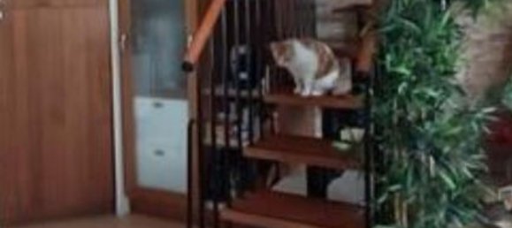 Apartamento de 2 habitaciónes en Caponago, Italy No. 4161 11