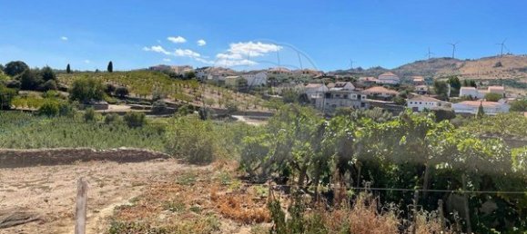 9 bedrooms House in Sao Joao da Pesqueira, Portugal No. 181446 9