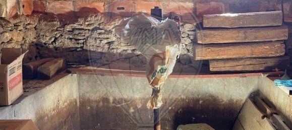 9 bedrooms House in Sao Joao da Pesqueira, Portugal No. 181446 2