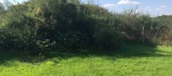 1 Schlafzimmer Villa in Cernay-la-Ville, France, Nr. 144112 12