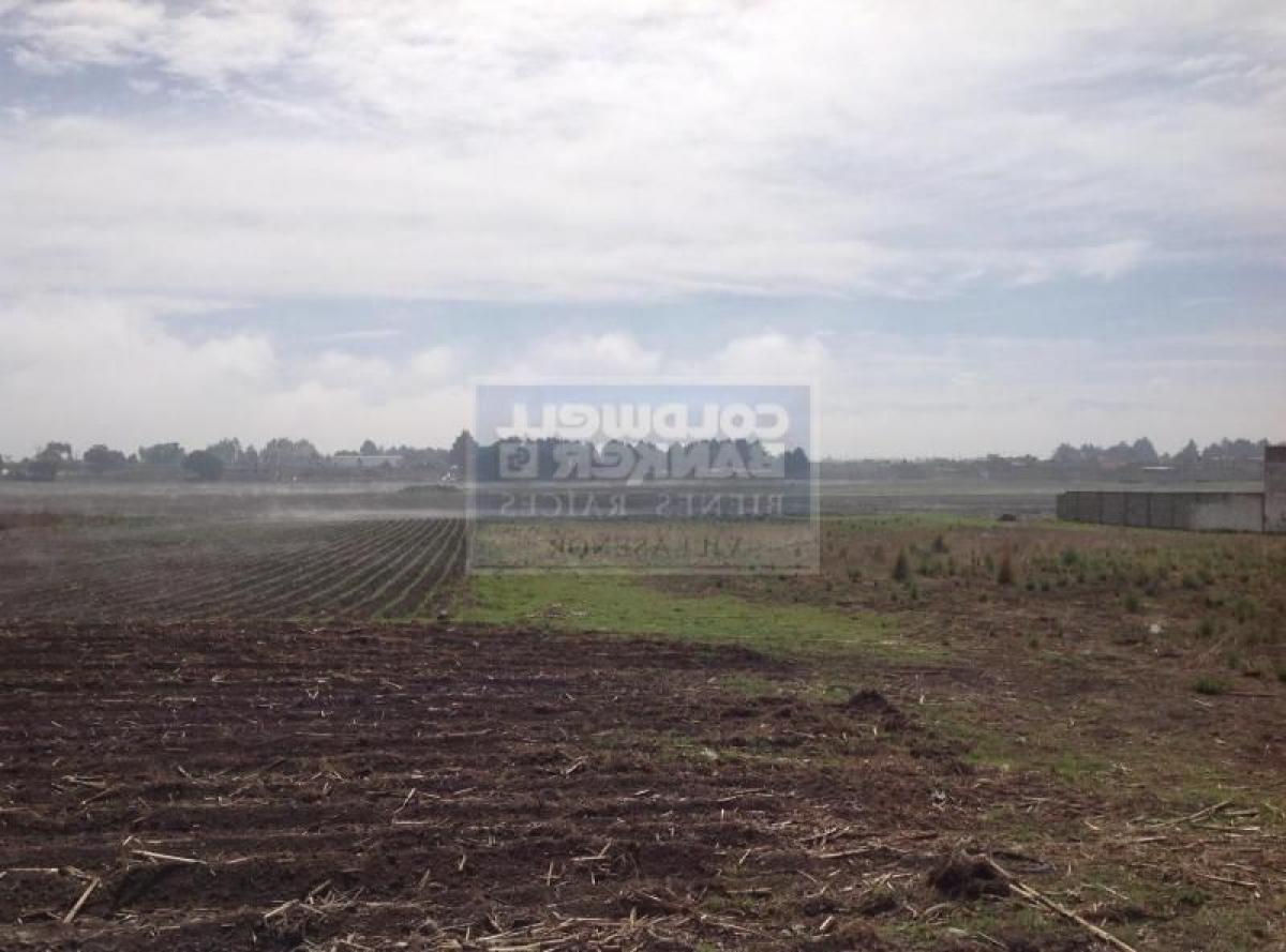 Terreno en Mexico No. 203751