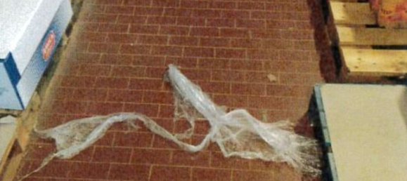 7 rooms Apartment in Trieste, Italy No. 97754 16