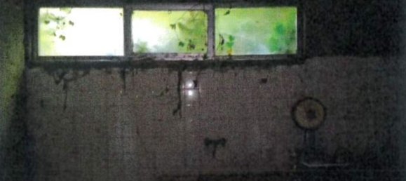 7 rooms Apartment in Trieste, Italy No. 97754 13