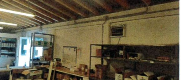 7 rooms Apartment in Trieste, Italy No. 97754 19