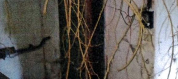 7 rooms Apartment in Trieste, Italy No. 97754 14