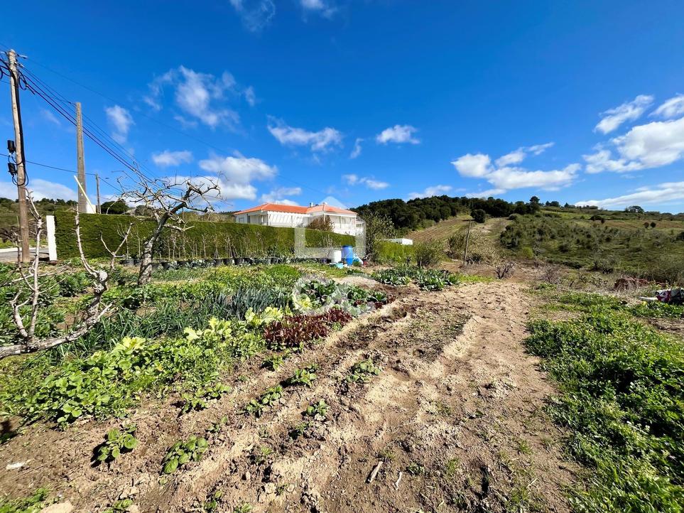 12560m² Land in Bombarral, Portugal No. 276870