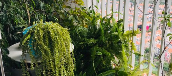 3 bedrooms Apartment in District 7, Vietnam No. 17177 15