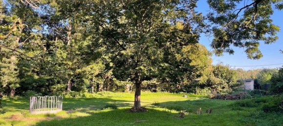 Terrain à Burgenlandkreis, Germany No. 309419 4