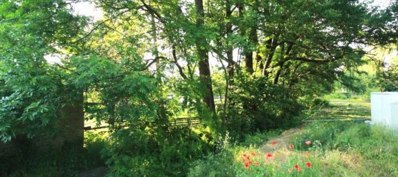 Terrain à Burgenlandkreis, Germany No. 309419 3