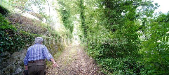 Дом с 10 спальнями в Монтьери, Италия № 267473 12