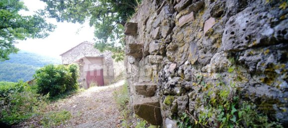 Дом с 10 спальнями в Монтьери, Италия № 267473 10