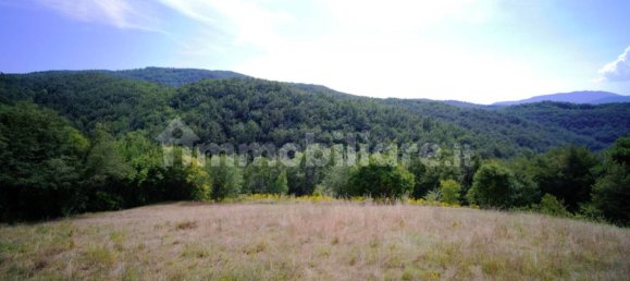 Дом с 10 спальнями в Монтьери, Италия № 267473 34