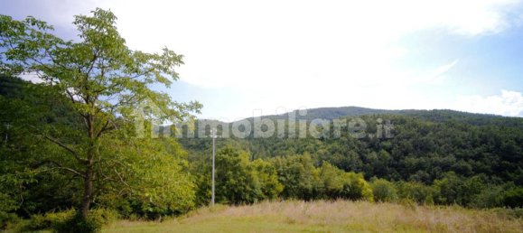 Дом с 10 спальнями в Монтьери, Италия № 267473 33