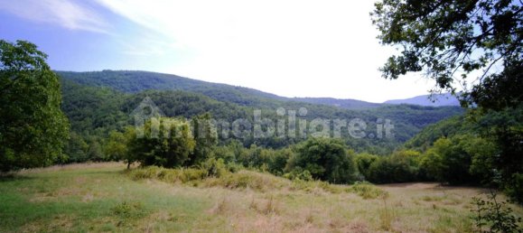 Дом с 10 спальнями в Монтьери, Италия № 267473 31