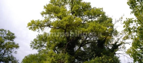 Дом с 10 спальнями в Монтьери, Италия № 267473 35