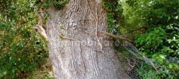 Дом с 10 спальнями в Монтьери, Италия № 267473 30