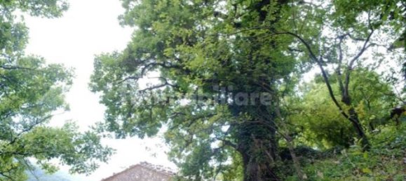 Дом с 10 спальнями в Монтьери, Италия № 267473 11