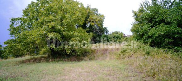 Дом с 10 спальнями в Монтьери, Италия № 267473 32