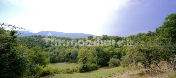 Дом с 10 спальнями в Монтьери, Италия № 267473 24