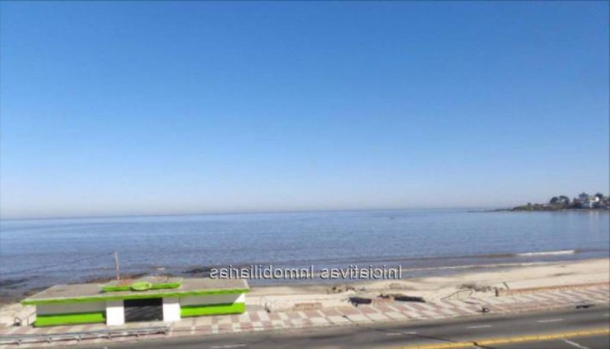 Studio in Montevideo, Uruguay No. 1798