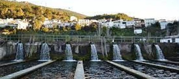 Casa de 3 dormitorios en Cádiz, Spain No. 184219 18