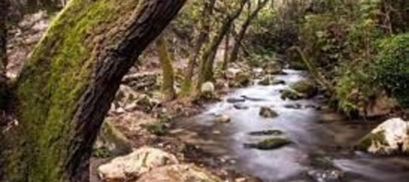 Casa de 3 dormitorios en Cádiz, Spain No. 184219 19