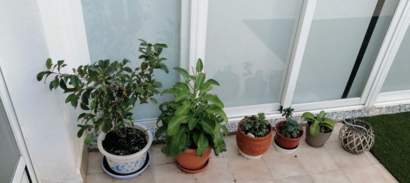 4 Schlafzimmer Wohnung in Valencia, Spain, Nr. 186958 14