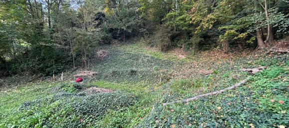 1358m² Land in Vaux-sur-Seine, France No. 173861 7