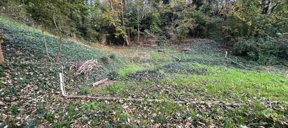 1358m² Land in Vaux-sur-Seine, France No. 173861 5