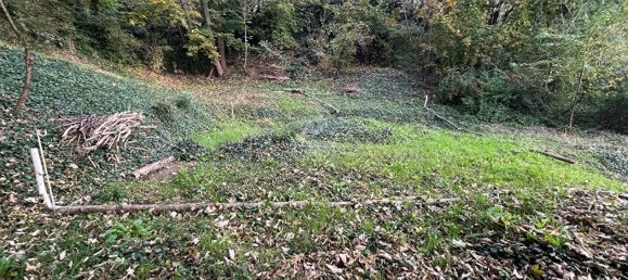 1358m² Land in Vaux-sur-Seine, France No. 173861 4