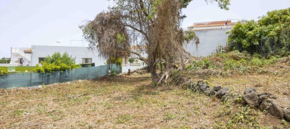 Дом с 3 спальнями в Икод-де-лос-Винос, Испания № 152048 30