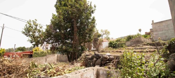 Дом с 3 спальнями в Икод-де-лос-Винос, Испания № 152048 27