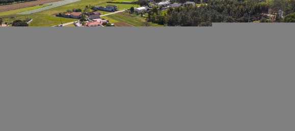 Дом с 4 спальнями в Соза, Португалия № 41906 41