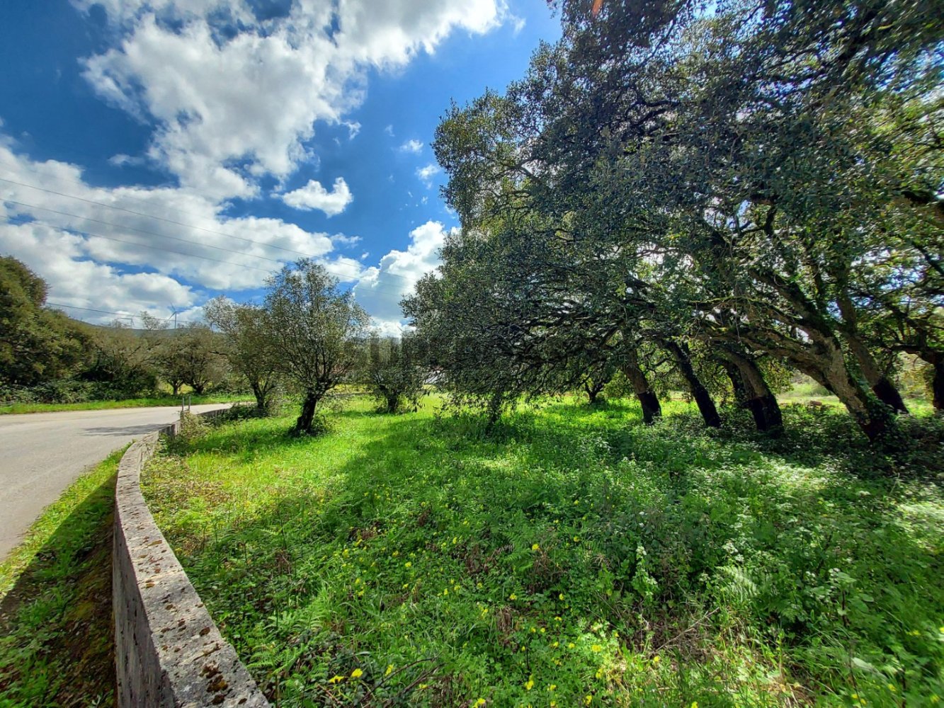 Grundstück in Alcobaca, Portugal 1460m², Nr. 320961