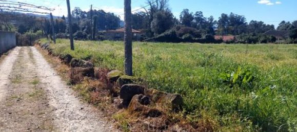 Земельный участок 2455м² в Амариш, Португалия № 147848 7