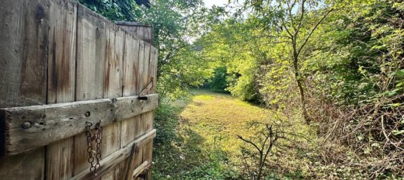 7 rooms House in Grossharras, Austria No. 2506 2