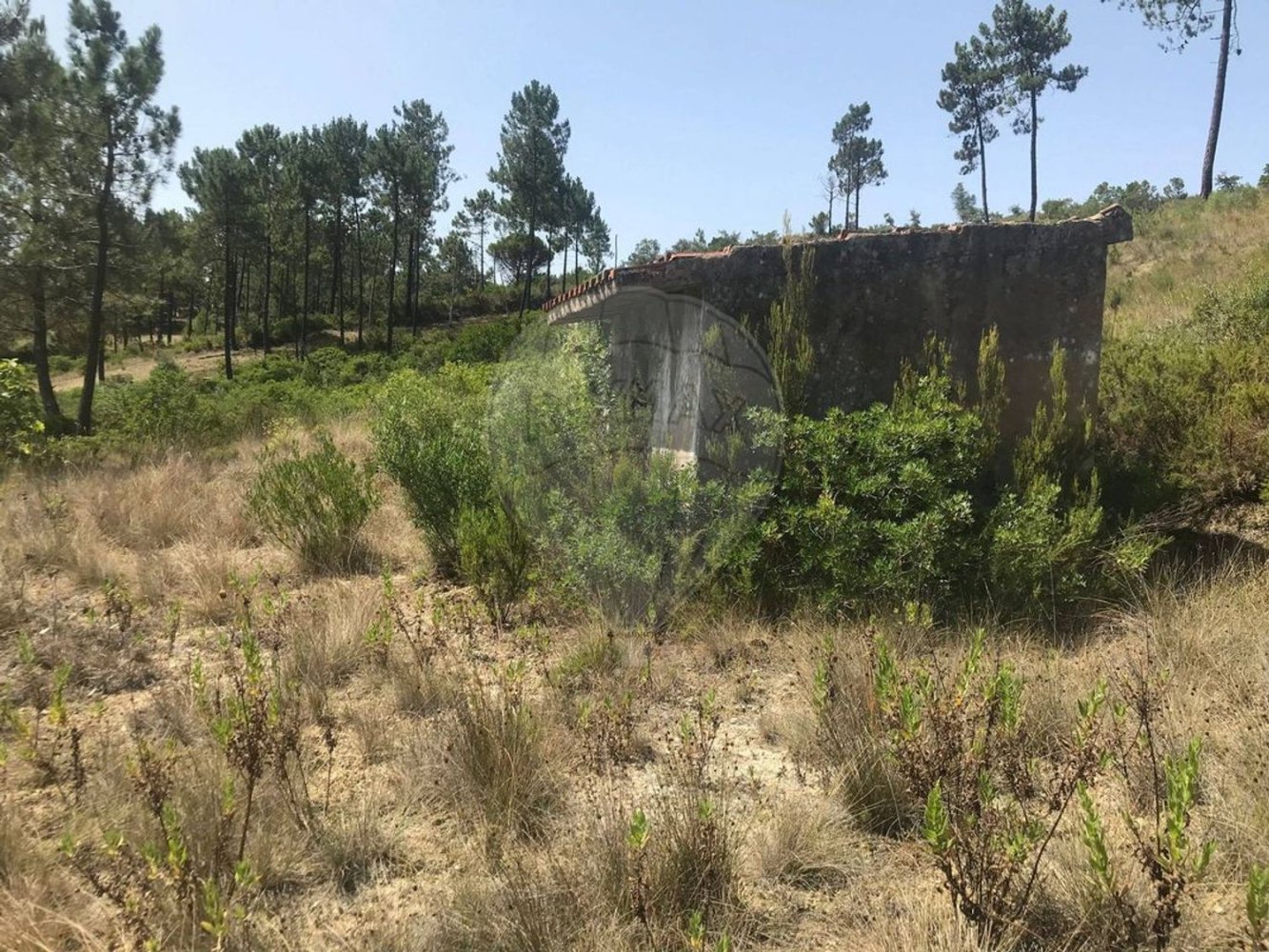 Terrain à Tomar, Portugal No. 275943