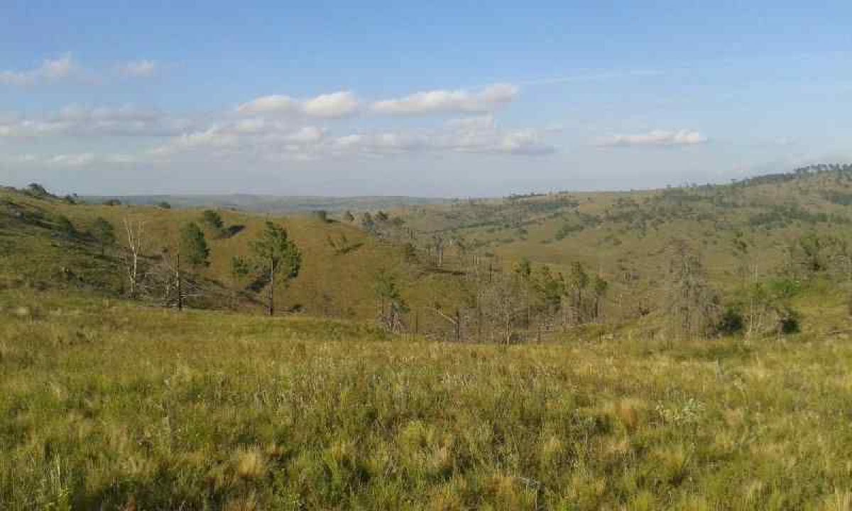  Land in Cordoba, Argentina No. 48521